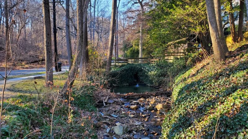 Woodland-Normanstone Terrace Park - Washington,