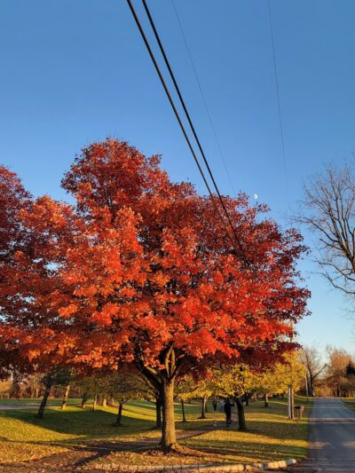 Meadow Breeze Kids Playground - Washington, NJ