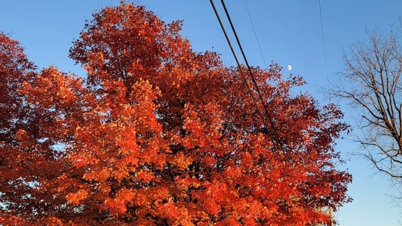 Meadow Breeze Kids Playground - Washington, NJ
