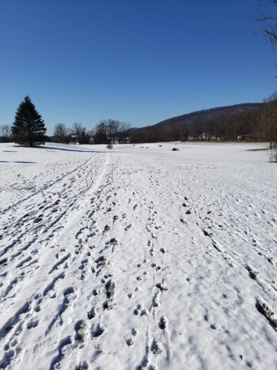 Meadow Breeze Kids Playground - Washington, NJ