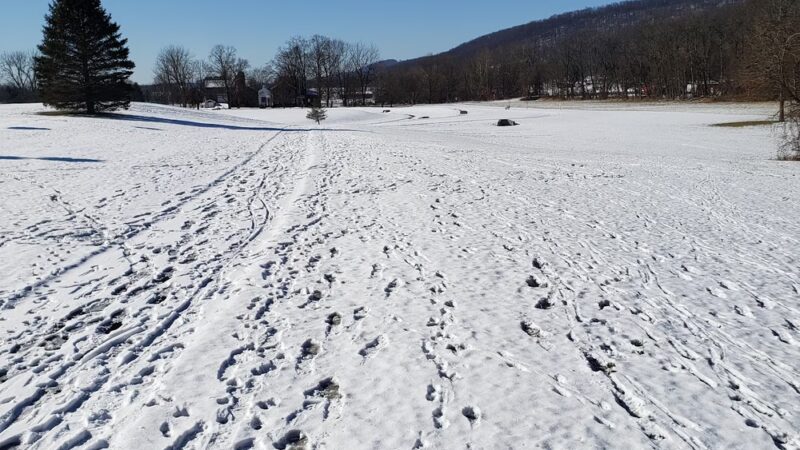 Meadow Breeze Kids Playground - Washington, NJ