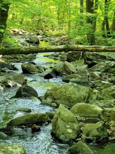 Roaring Rock Park - Washington, NJ