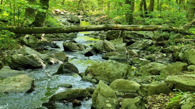 Roaring Rock Park - Washington, NJ