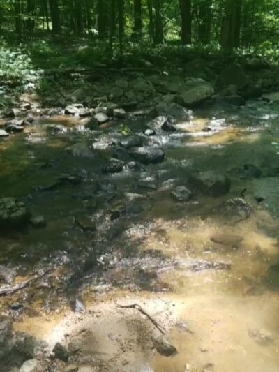 Roaring Rock Park - Washington, NJ