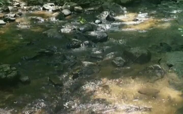 Roaring Rock Park - Washington, NJ