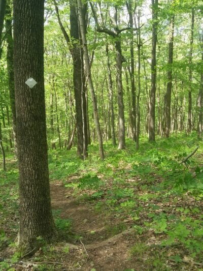 Roaring Rock Park - Washington, NJ