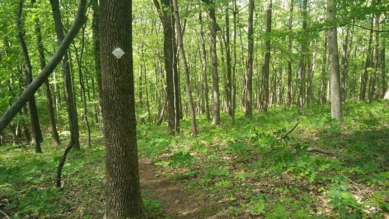 Roaring Rock Park - Washington, NJ
