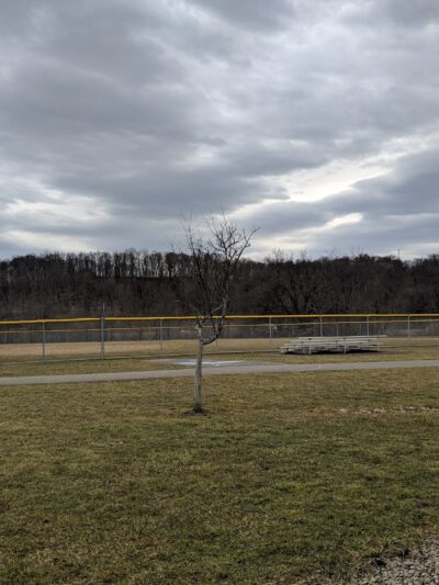 South Strabane Community Park - Washington, PA