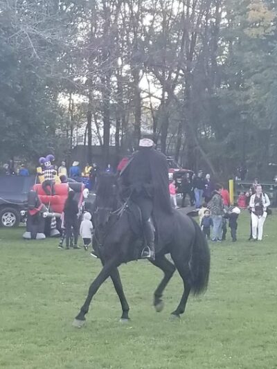 L Vern Allen Park - Washingtonville, NY