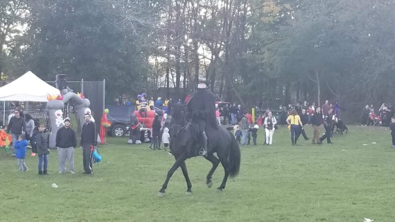 L Vern Allen Park - Washingtonville, NY