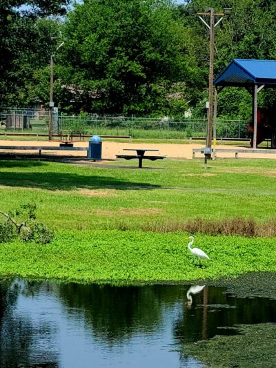 Waskom-Taylor Park - Waskom, TX