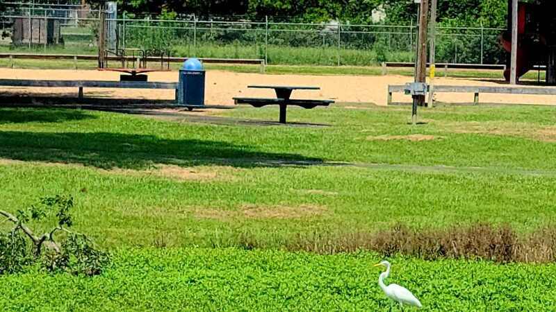 Waskom-Taylor Park - Waskom, TX
