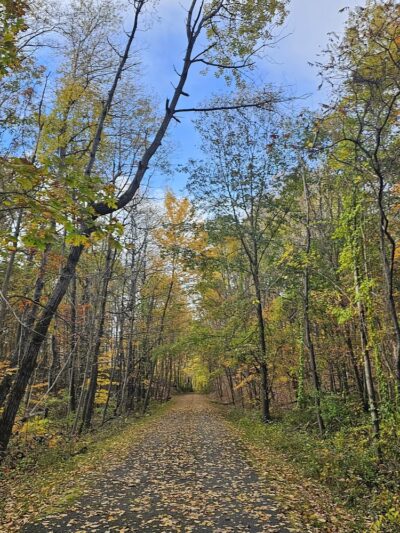 Harlem Valley Rail Trail - Wassaic, NY