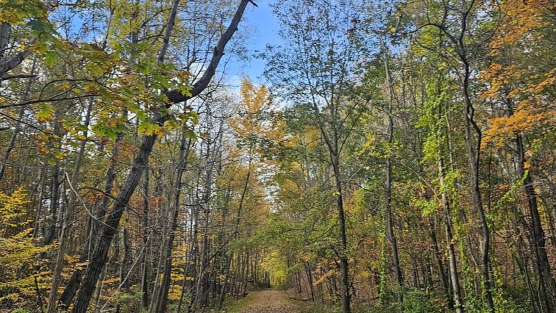 Harlem Valley Rail Trail - Wassaic, NY