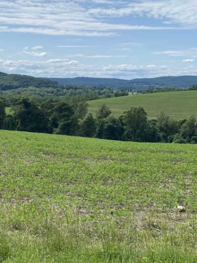 Harlem Valley Rail Trail - Wassaic, NY