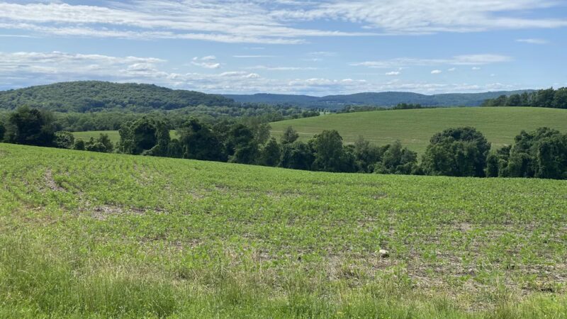 Harlem Valley Rail Trail - Wassaic, NY