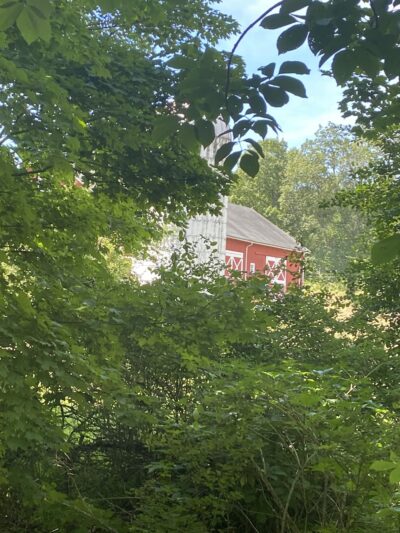 Harlem Valley Rail Trail - Wassaic, NY