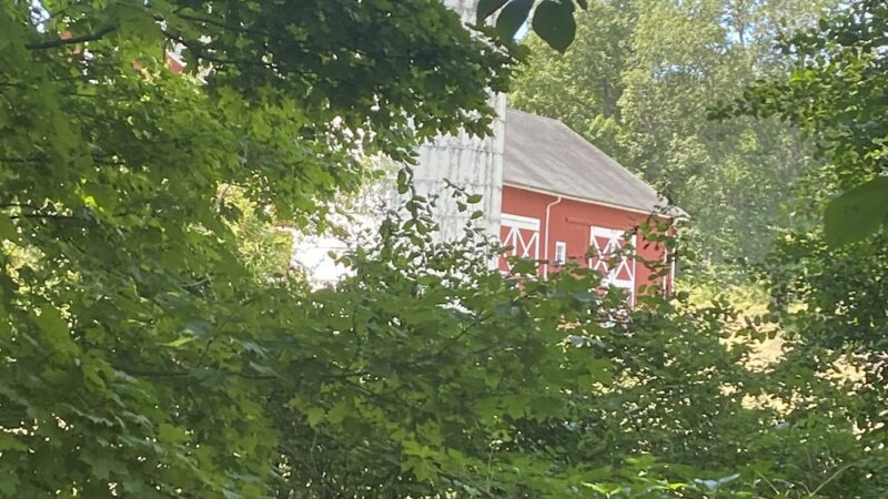 Harlem Valley Rail Trail - Wassaic, NY