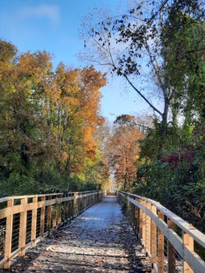 Harlem Valley Rail Trail - Wassaic, NY