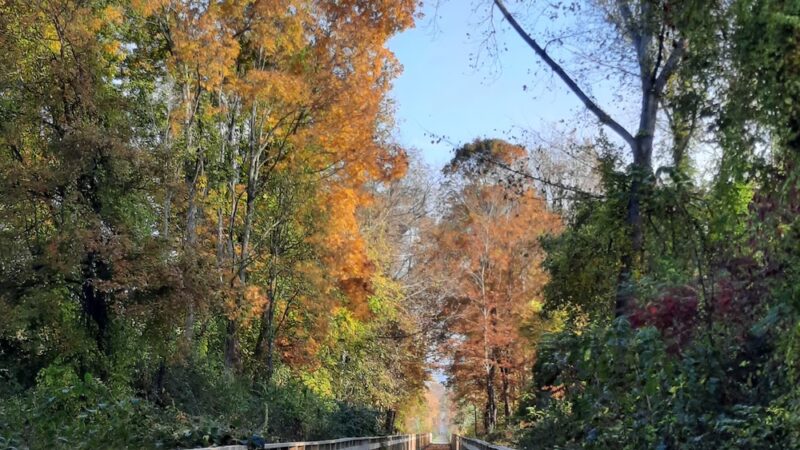Harlem Valley Rail Trail - Wassaic, NY