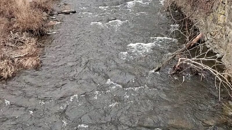 Wassaic Park - Wassaic, NY