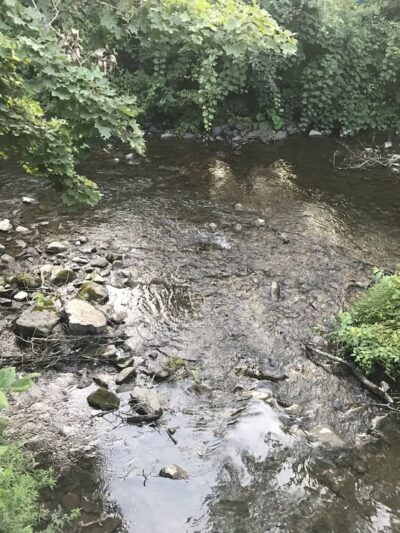 Wassaic Park - Wassaic, NY