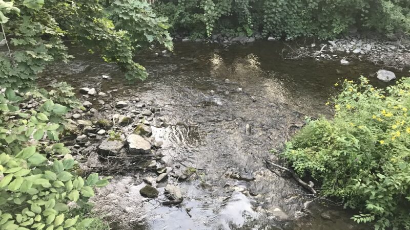 Wassaic Park - Wassaic, NY