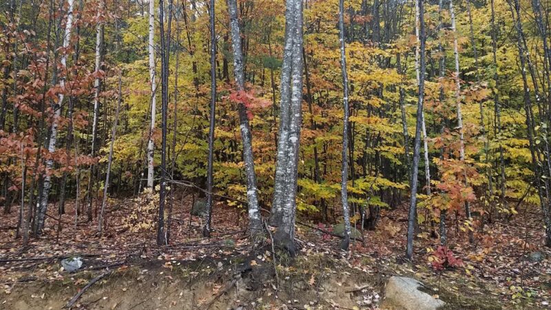 North Waterford - Waterford, ME