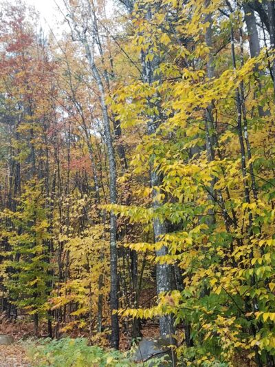 North Waterford - Waterford, ME