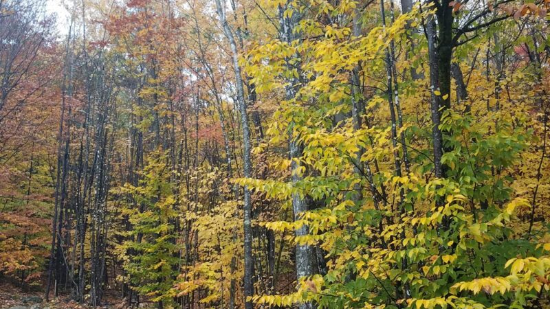 North Waterford - Waterford, ME