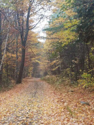 North Waterford - Waterford, ME