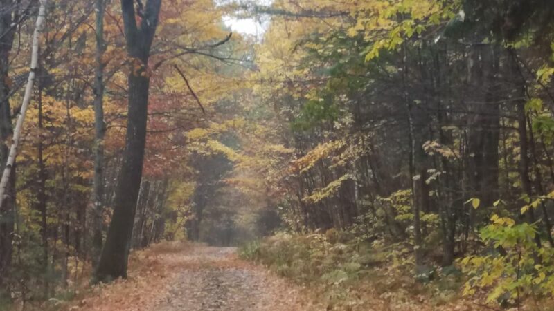 North Waterford - Waterford, ME