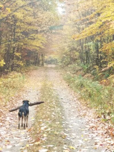 North Waterford - Waterford, ME