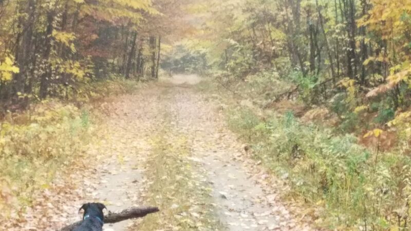 North Waterford - Waterford, ME