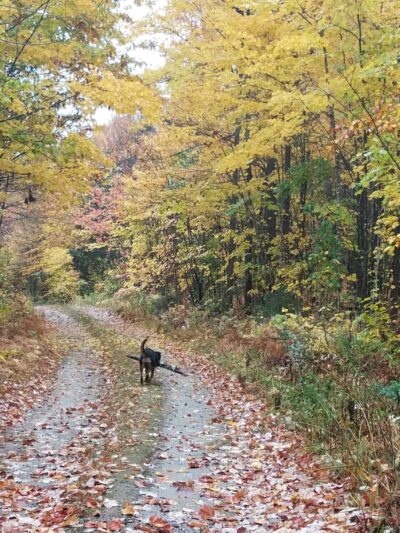 North Waterford - Waterford, ME