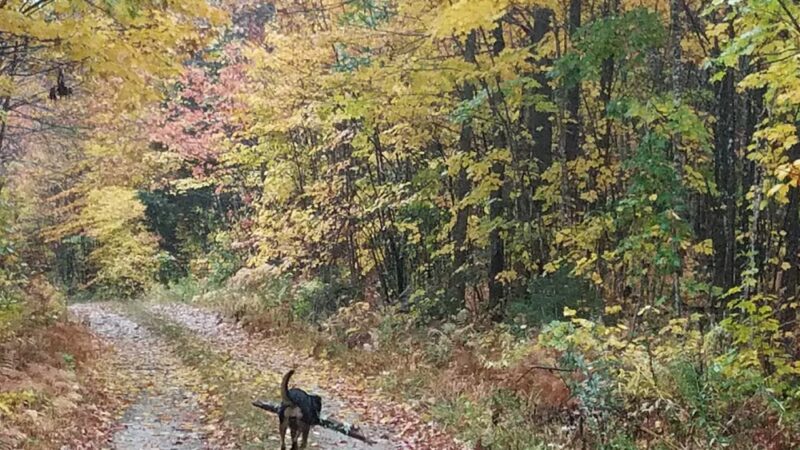 North Waterford - Waterford, ME