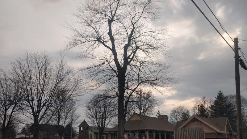 Francis Thomson Park - Waterloo, IN