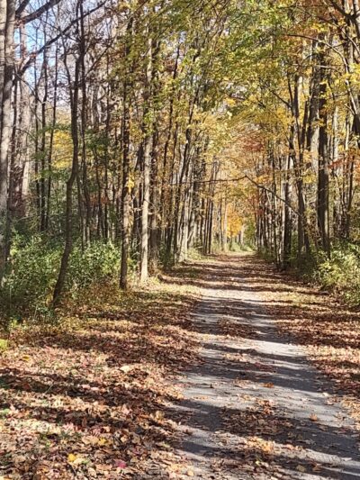 Cayuga-Seneca Canal Trail - Waterloo, NY