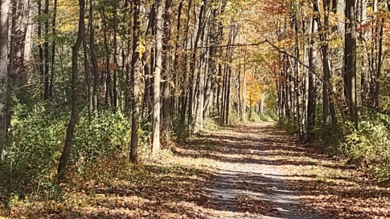 Cayuga-Seneca Canal Trail - Waterloo, NY