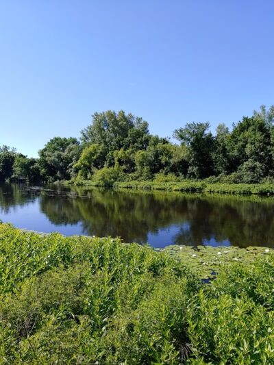 How Park - Watertown, MA