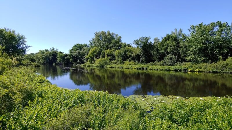 How Park - Watertown, MA