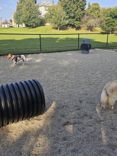 How Park - Watertown, MA