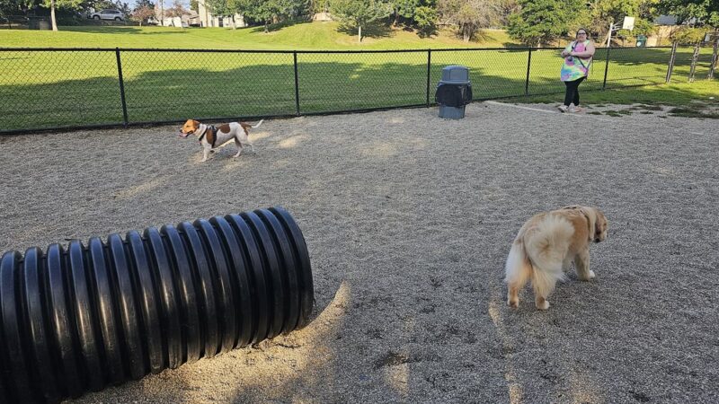 How Park - Watertown, MA