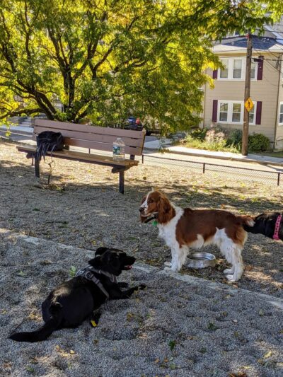 How Park - Watertown, MA