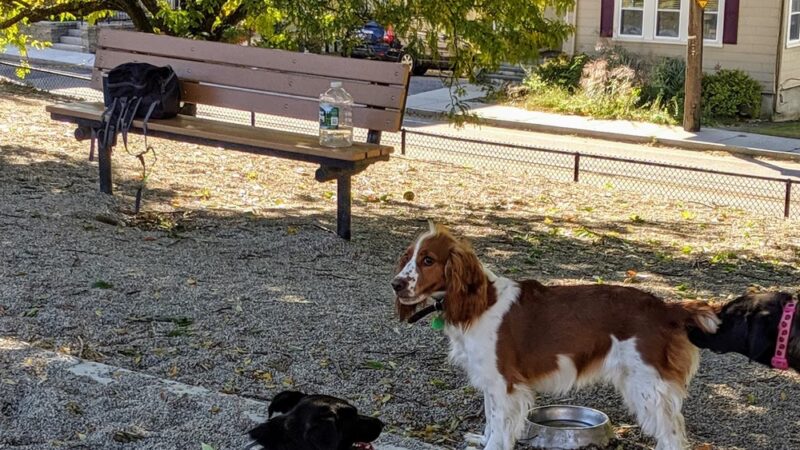 How Park - Watertown, MA