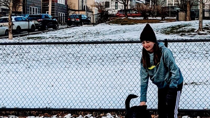 How Park - Watertown, MA