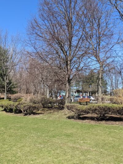 Filippello Park - Watertown, MA