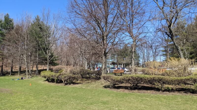 Filippello Park - Watertown, MA