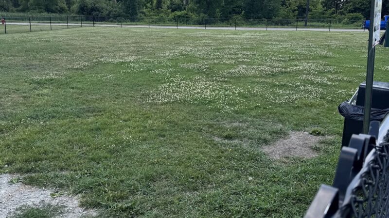 Berres Brothers Dog Park - Watertown, WI