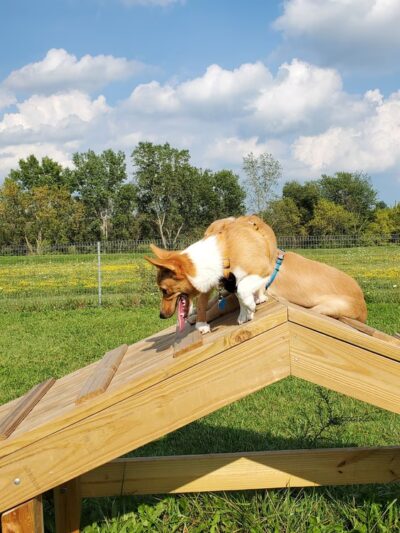 Watertown Dog Park - Watertown, WI